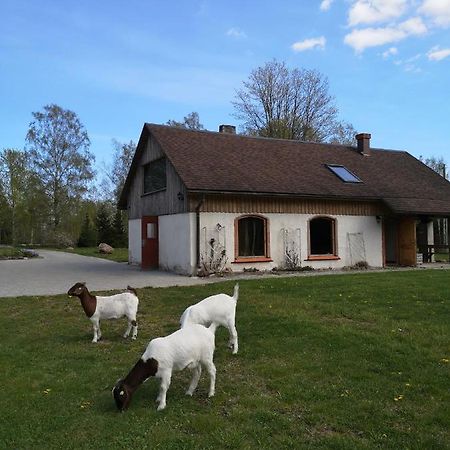 Atputas Vieta Raudini Hotel Kaltene Buitenkant foto