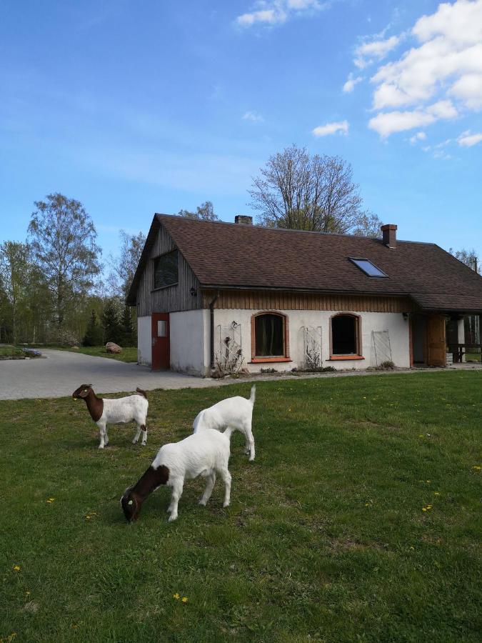 Atputas Vieta Raudini Hotel Kaltene Buitenkant foto
